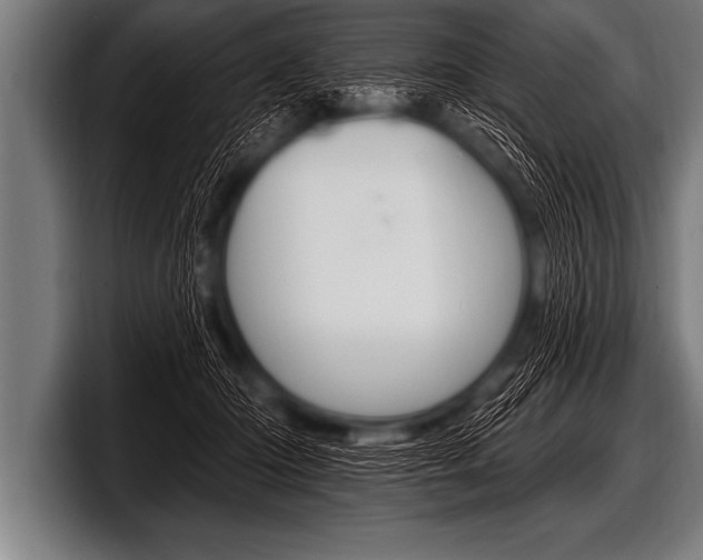 X0000098130414200804171103