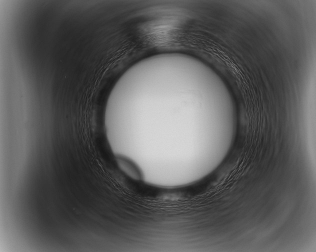 X0000098130416200804171103
