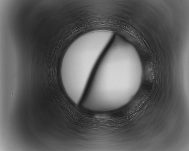 X0000098130417200804171103