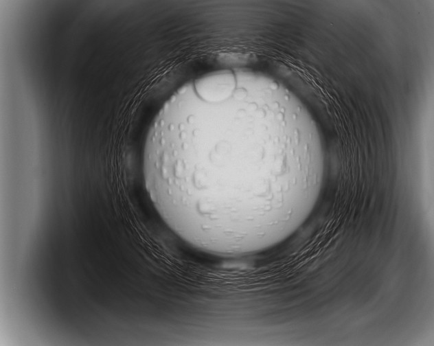 X0000098130418200804171103