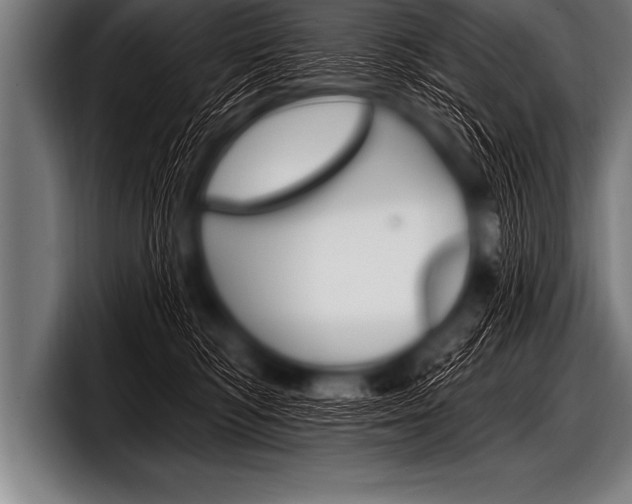 X0000098130422200804171103