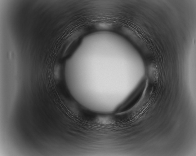 X0000098130423200804171103