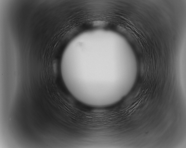 X0000098130424200804171103