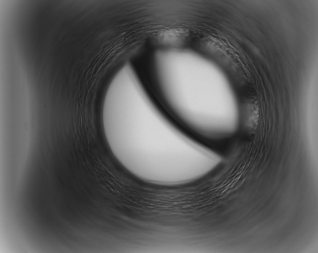 X0000098130425200804171103