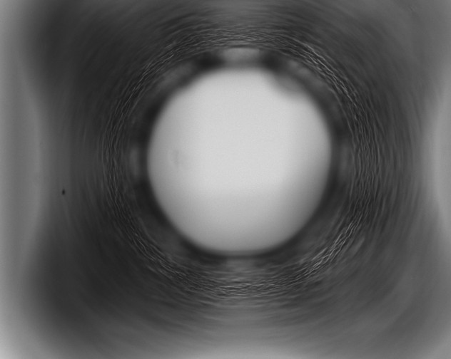 X0000098130428200804171103