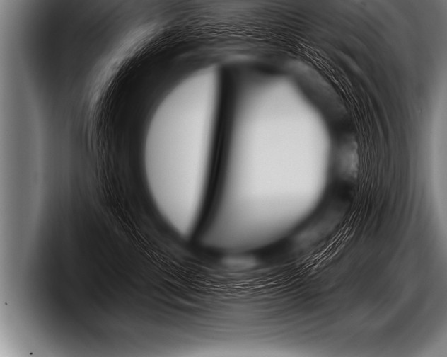 X0000098130429200804171103