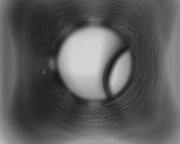X0000098130432200804171103