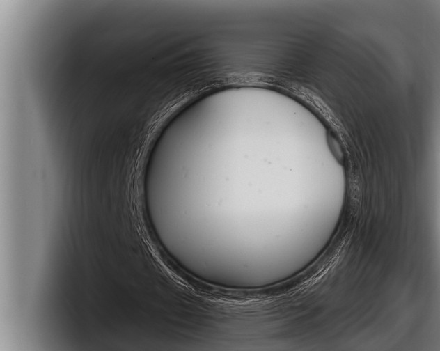 X0000098130433200804171102