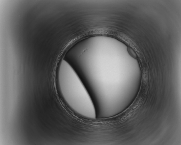 X0000098130434200804171102