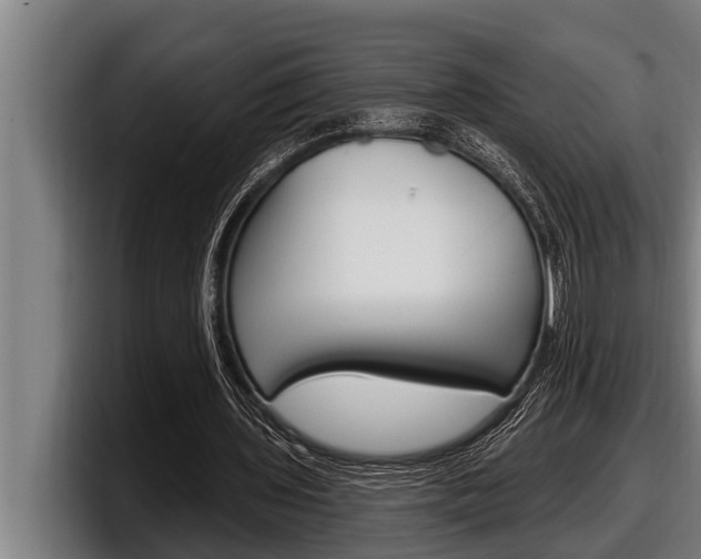 X0000098130435200804171102