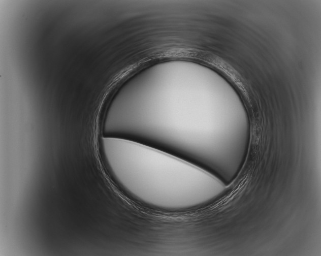 X0000098130437200804171102