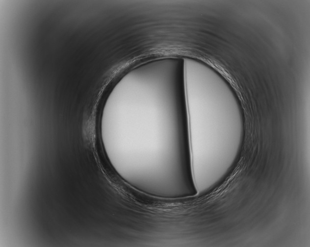 X0000098130438200804171102