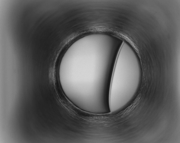 X0000098130439200804171102