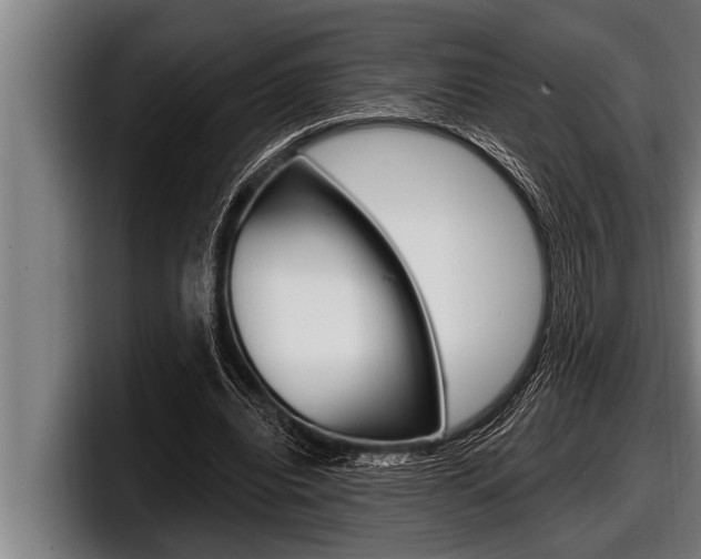 X0000098130440200804171102