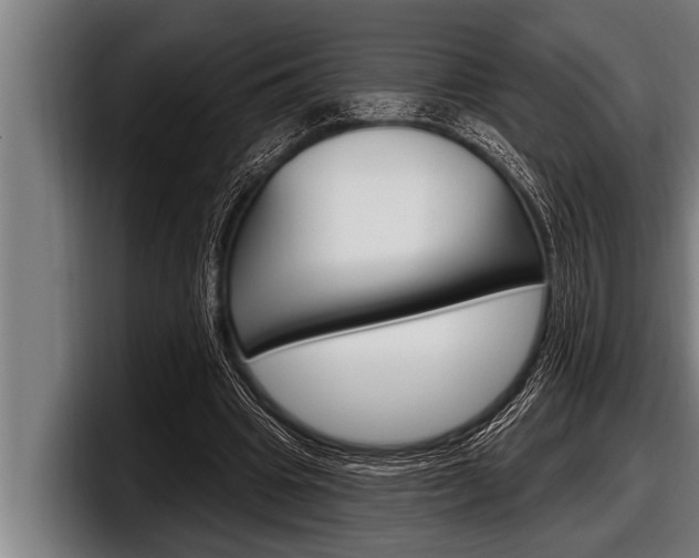 X0000098130441200804171102