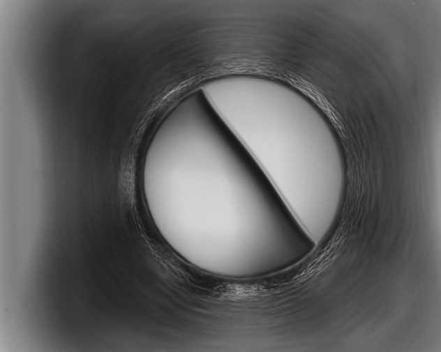 X0000098130442200804171102