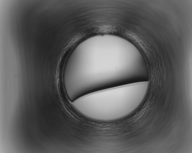 X0000098130443200804171102