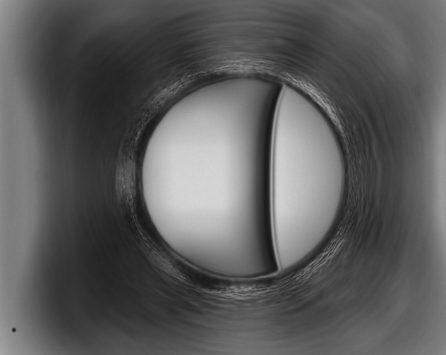 X0000098130445200804171102