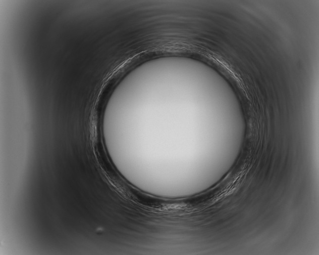 X0000098130446200804171102