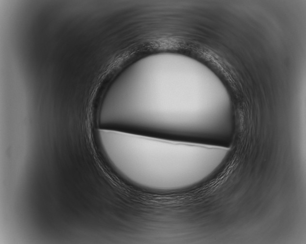 X0000098130447200804171102