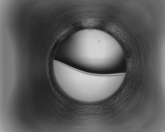 X0000098130448200804171102