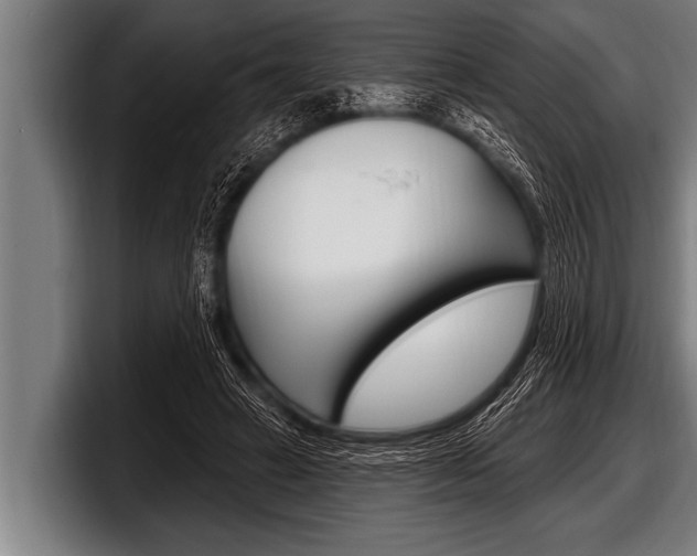 X0000098130449200804171102