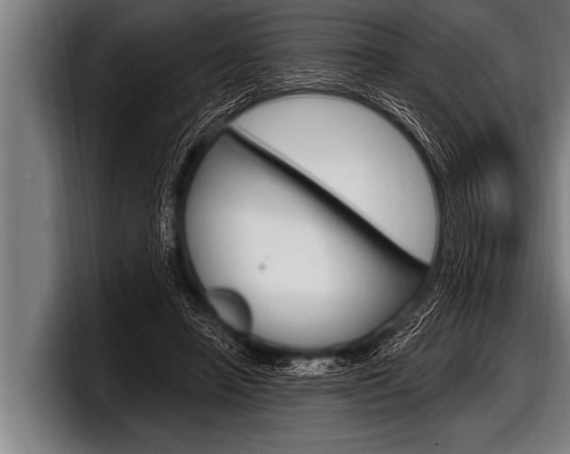 X0000098130450200804171102