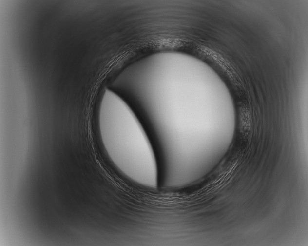 X0000098130451200804171102