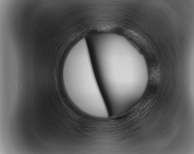 X0000098130452200804171102