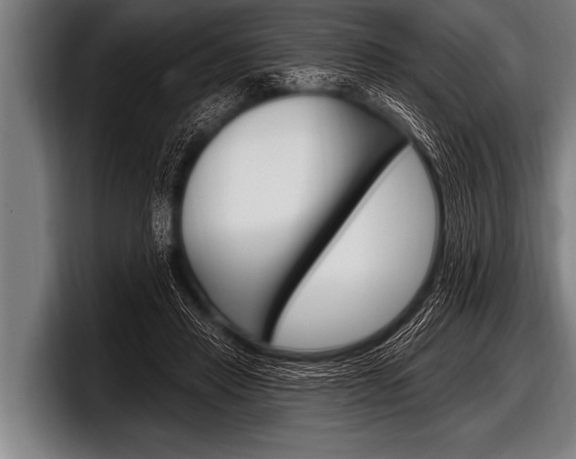 X0000098130453200804171102