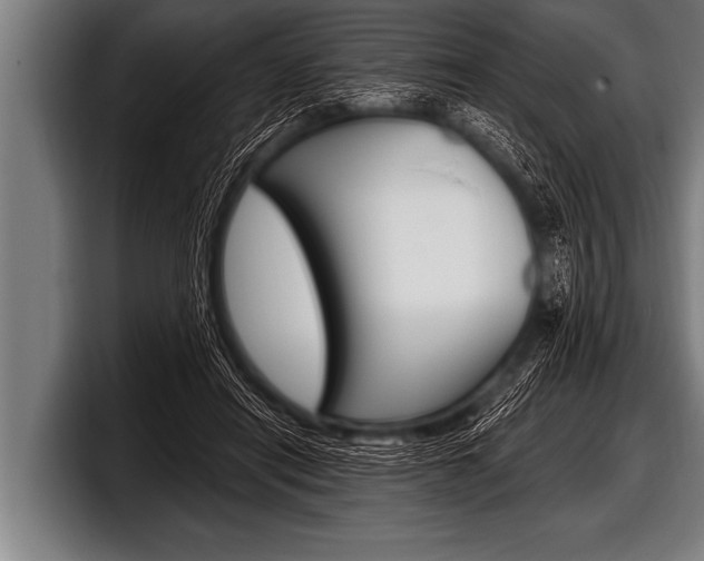 X0000098130454200804171102