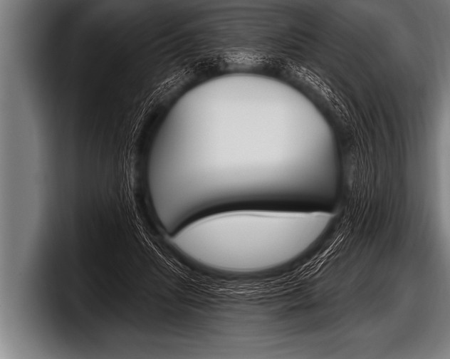 X0000098130455200804171102