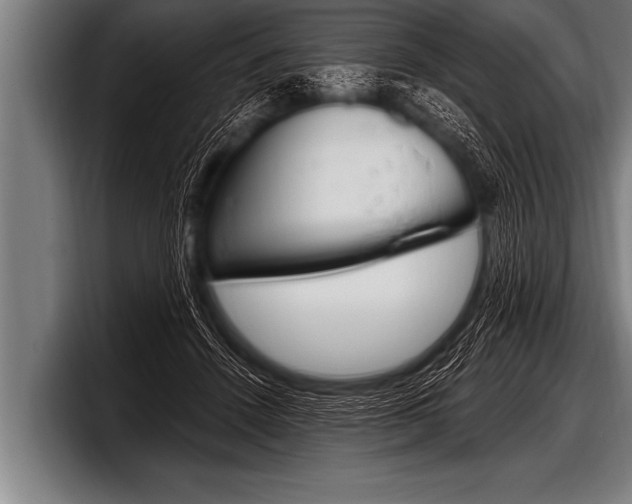 X0000098130456200804171102