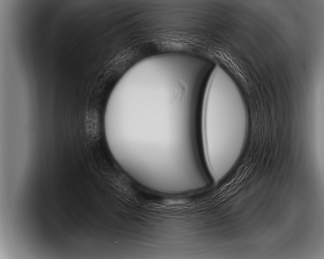 X0000098130457200804171102