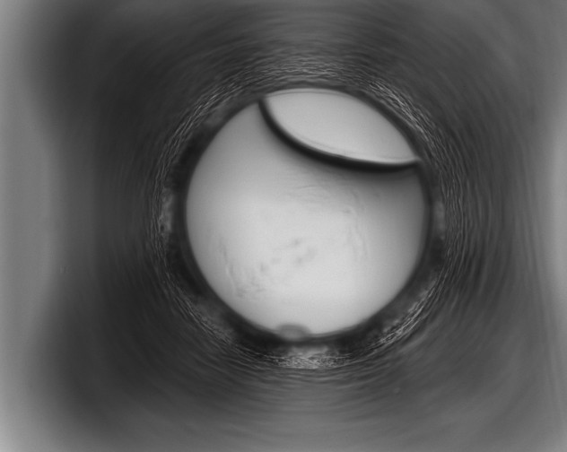 X0000098130458200804171102
