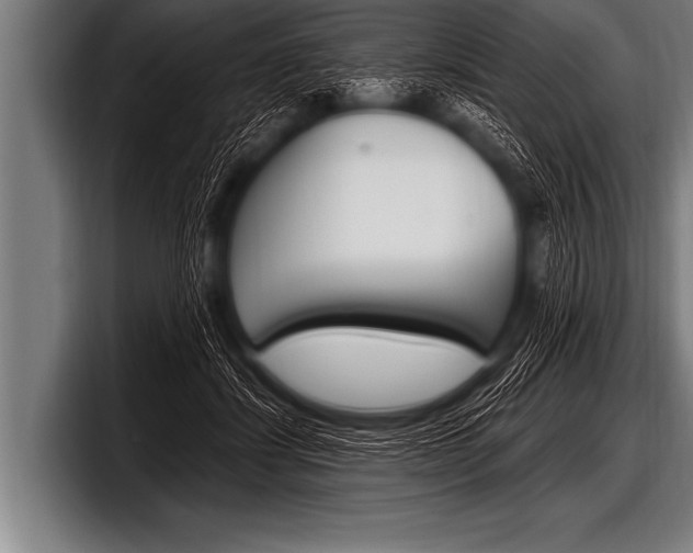 X0000098130459200804171102