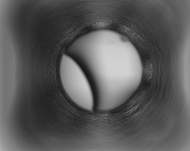 X0000098130462200804171103
