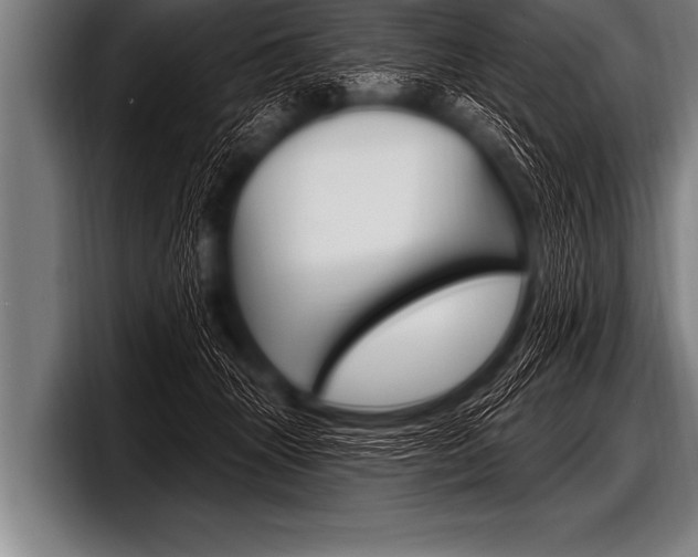 X0000098130463200804171103