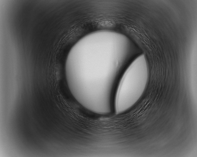 X0000098130464200804171103