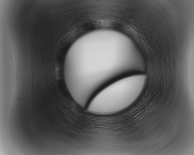 X0000098130465200804171103