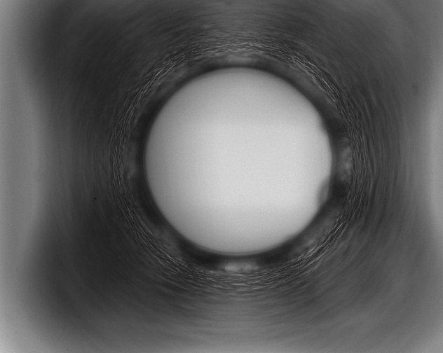X0000098130466200804171103