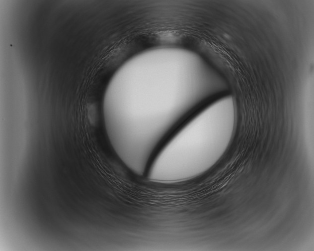 X0000098130467200804171103