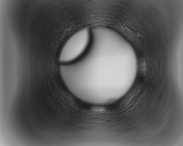 X0000098130469200804171103