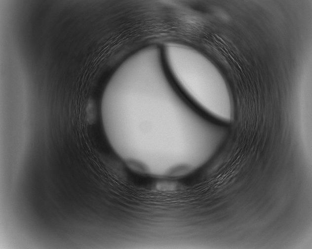 X0000098130471200804171103