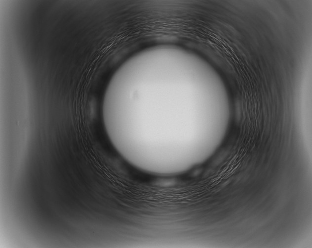 X0000098130472200804171103