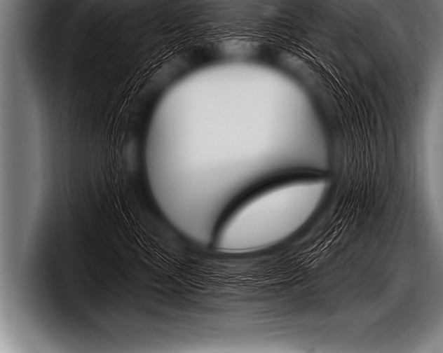 X0000098130473200804171103