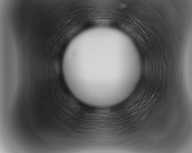 X0000098130474200804171103