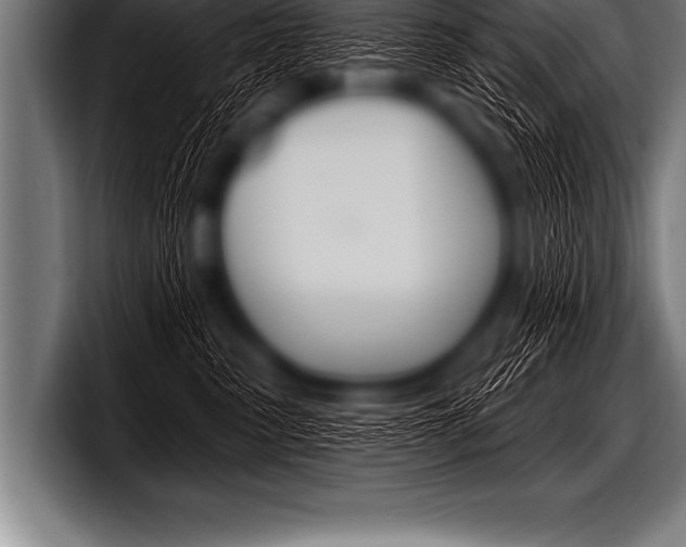 X0000098130475200804171103