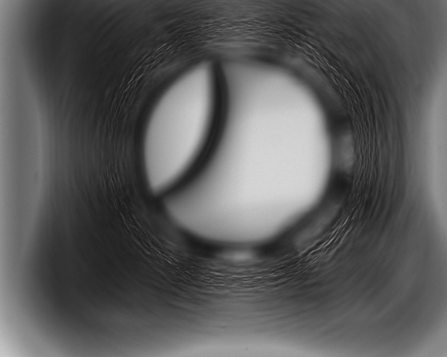 X0000098130478200804171103