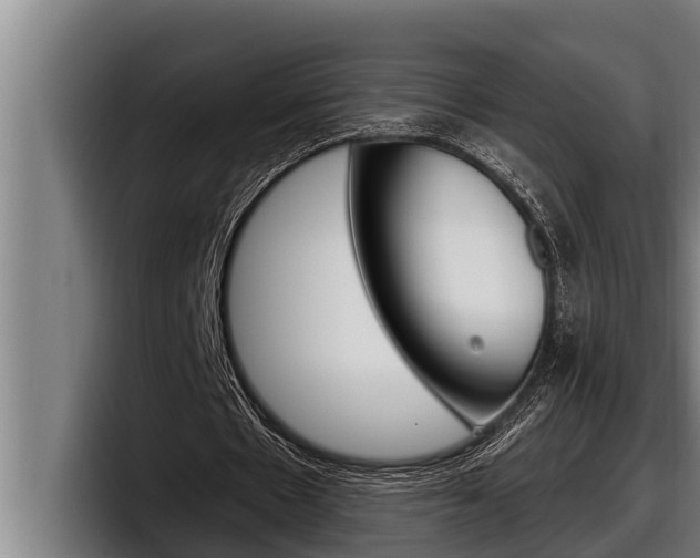 X0000098130481200804171102